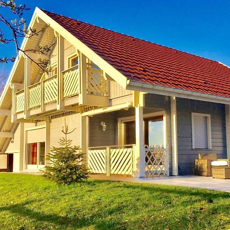 Chalet Le Flocon Bleu - Mauselaine Avec Vue Sur Le Lac De جوراردُميه المظهر الخارجي الصورة