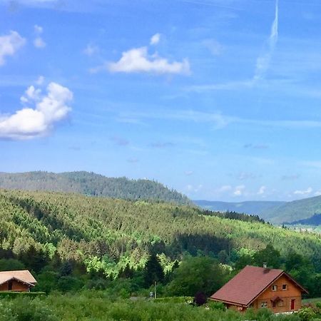 Chalet Le Flocon Bleu - Mauselaine Avec Vue Sur Le Lac De جوراردُميه المظهر الخارجي الصورة