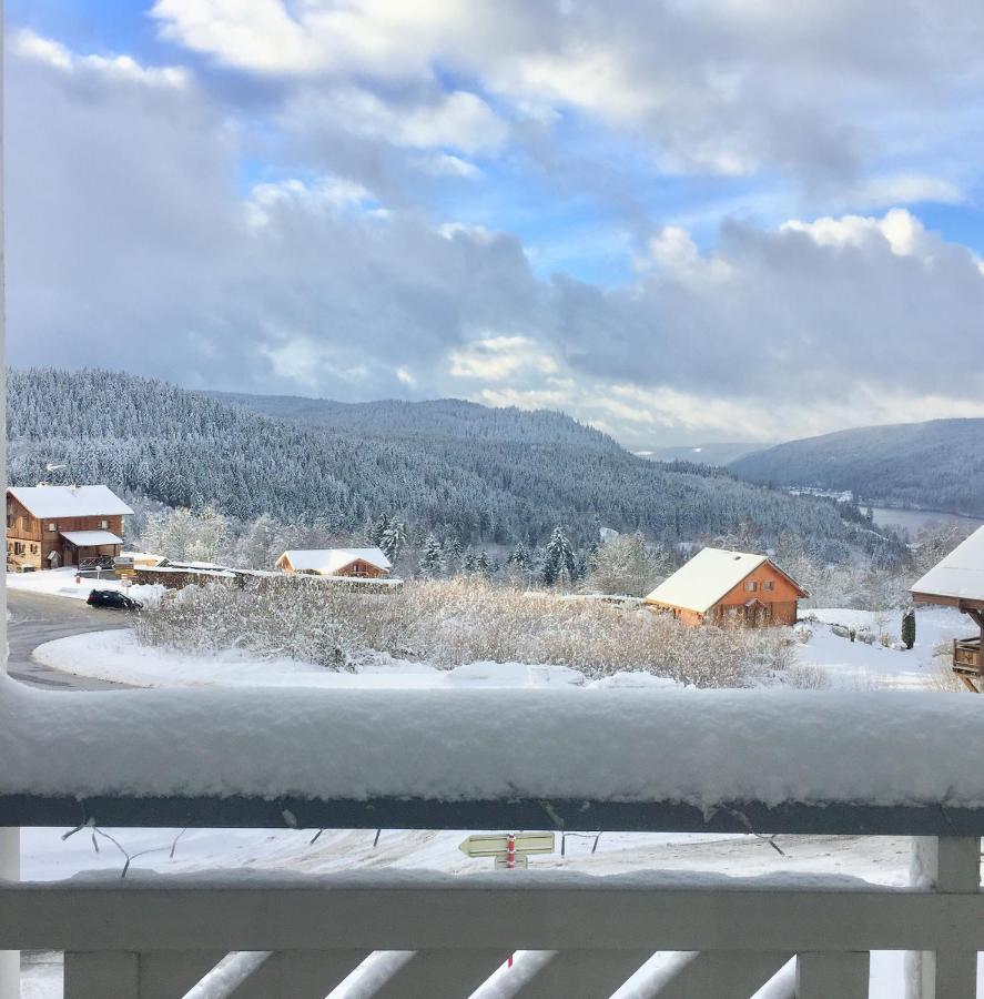 Chalet Le Flocon Bleu - Mauselaine Avec Vue Sur Le Lac De جوراردُميه المظهر الخارجي الصورة