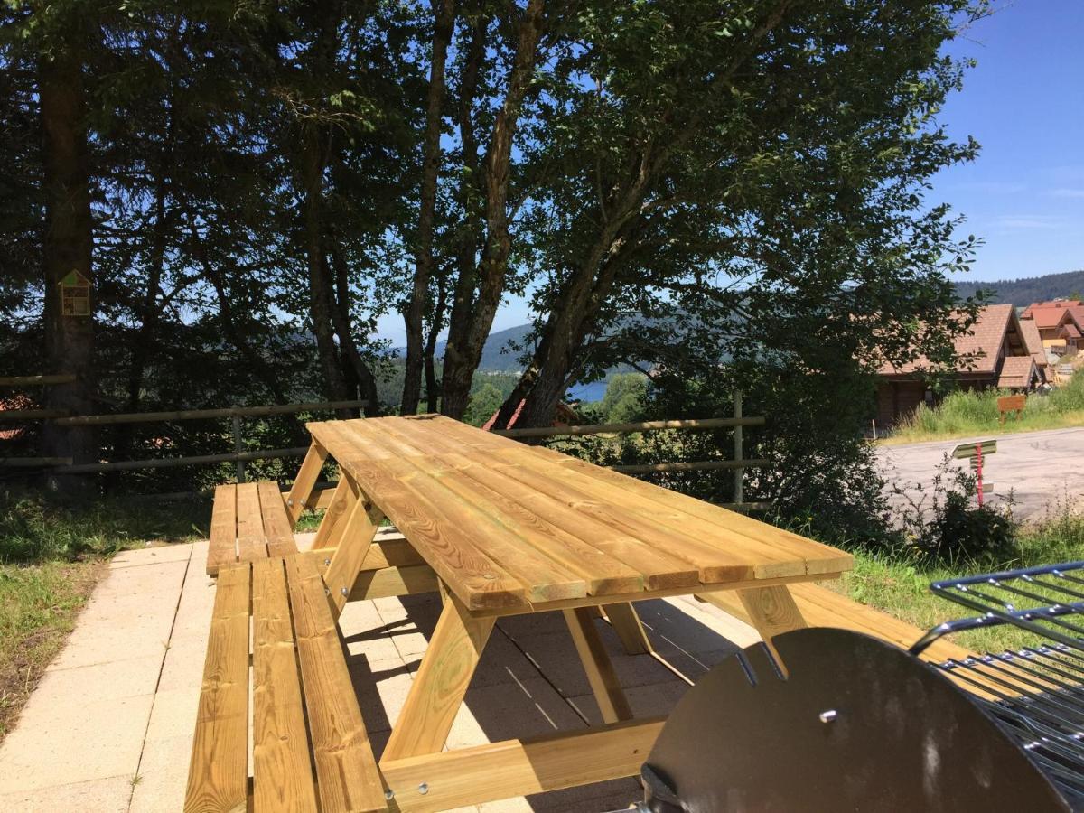 Chalet Le Flocon Bleu - Mauselaine Avec Vue Sur Le Lac De جوراردُميه المظهر الخارجي الصورة
