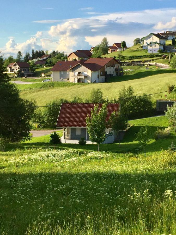 Chalet Le Flocon Bleu - Mauselaine Avec Vue Sur Le Lac De جوراردُميه المظهر الخارجي الصورة