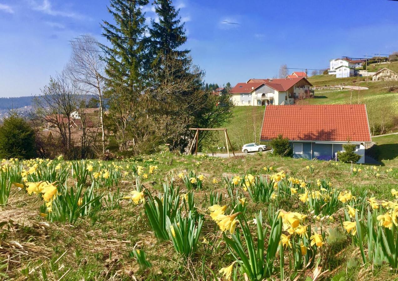 Chalet Le Flocon Bleu - Mauselaine Avec Vue Sur Le Lac De جوراردُميه المظهر الخارجي الصورة