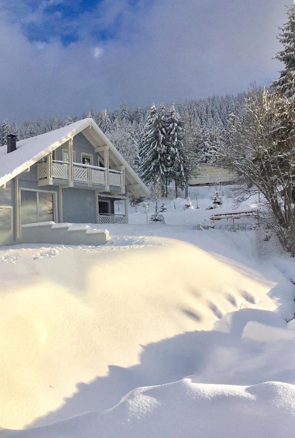 Chalet Le Flocon Bleu - Mauselaine Avec Vue Sur Le Lac De جوراردُميه المظهر الخارجي الصورة