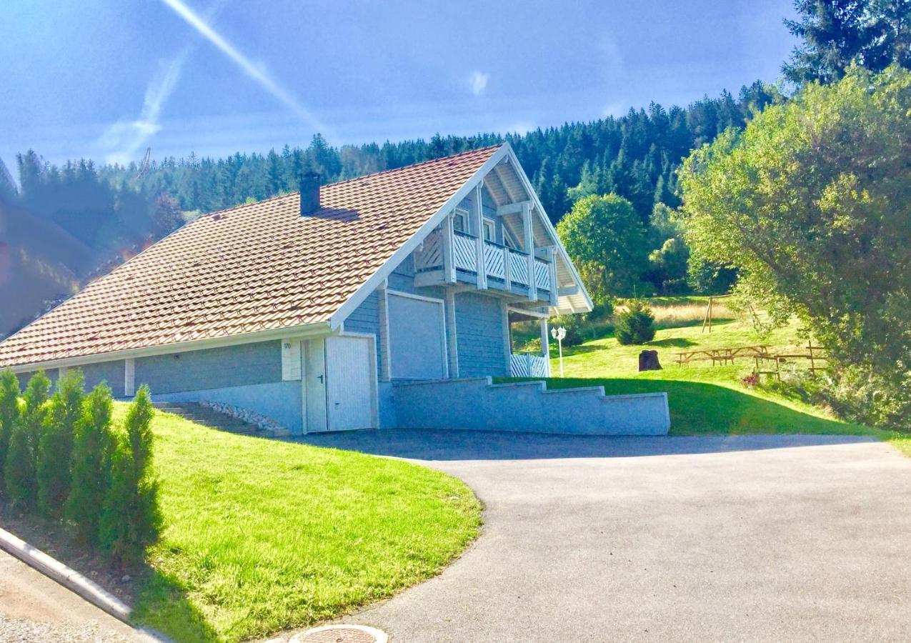 Chalet Le Flocon Bleu - Mauselaine Avec Vue Sur Le Lac De جوراردُميه المظهر الخارجي الصورة