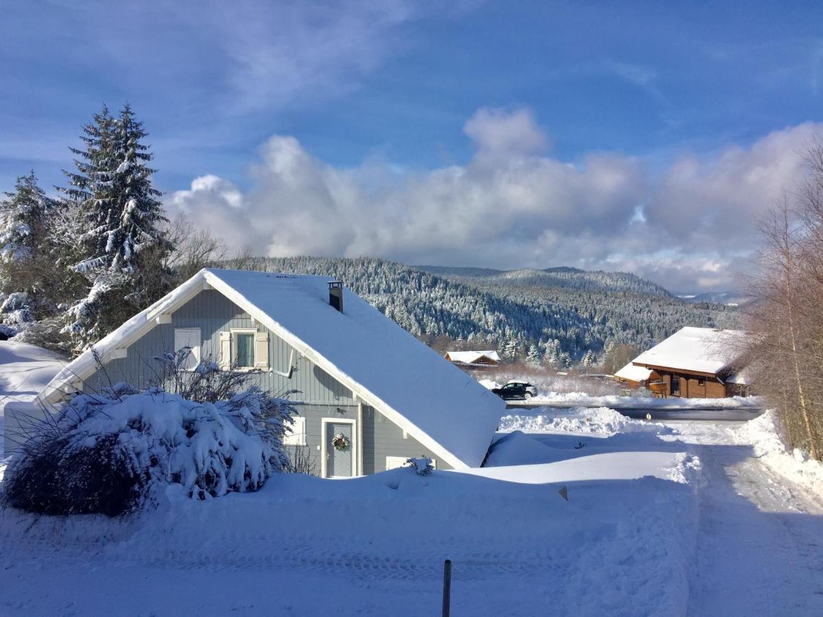 Chalet Le Flocon Bleu - Mauselaine Avec Vue Sur Le Lac De جوراردُميه المظهر الخارجي الصورة