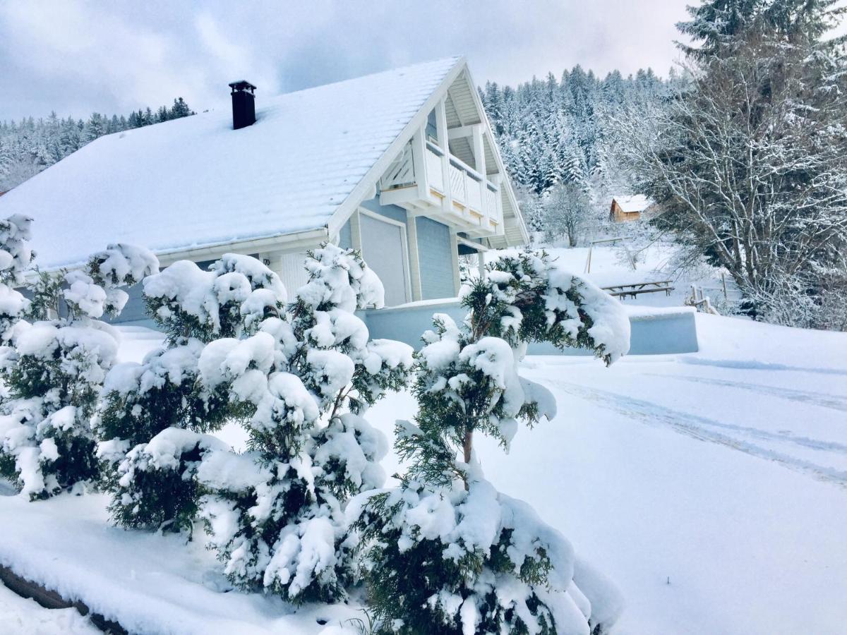 Chalet Le Flocon Bleu - Mauselaine Avec Vue Sur Le Lac De جوراردُميه المظهر الخارجي الصورة