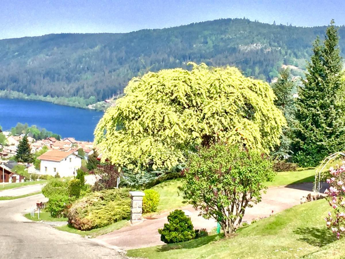 Chalet Le Flocon Bleu - Mauselaine Avec Vue Sur Le Lac De جوراردُميه المظهر الخارجي الصورة
