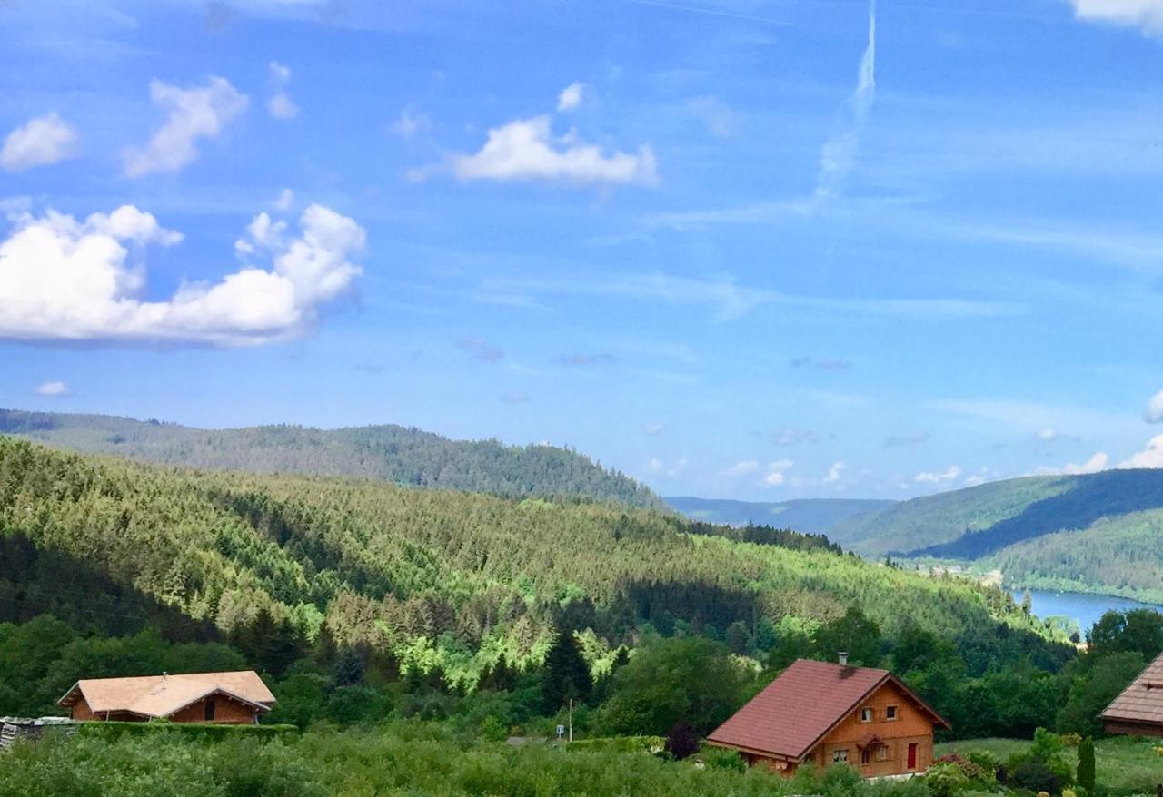 Chalet Le Flocon Bleu - Mauselaine Avec Vue Sur Le Lac De جوراردُميه المظهر الخارجي الصورة