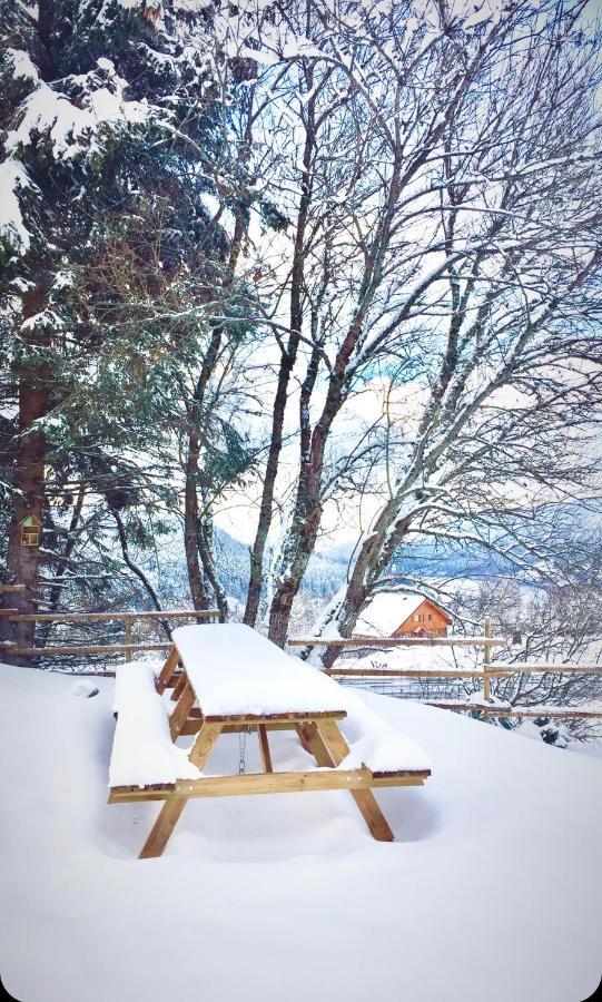 Chalet Le Flocon Bleu - Mauselaine Avec Vue Sur Le Lac De جوراردُميه المظهر الخارجي الصورة