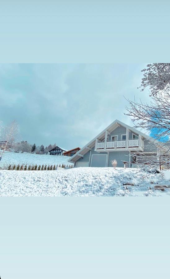 Chalet Le Flocon Bleu - Mauselaine Avec Vue Sur Le Lac De جوراردُميه المظهر الخارجي الصورة